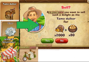 sell tame duiker